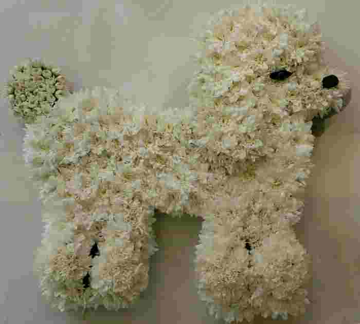 Eileen Jenkins Poodle